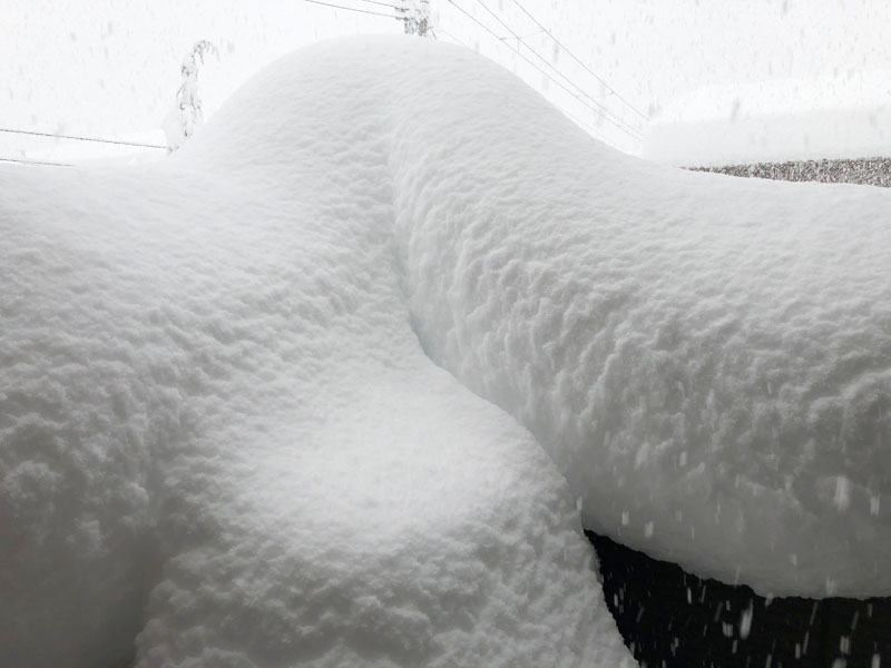 バルコニーの様子