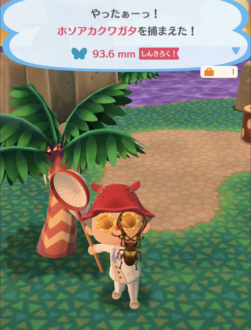 ホソアカクワガタ