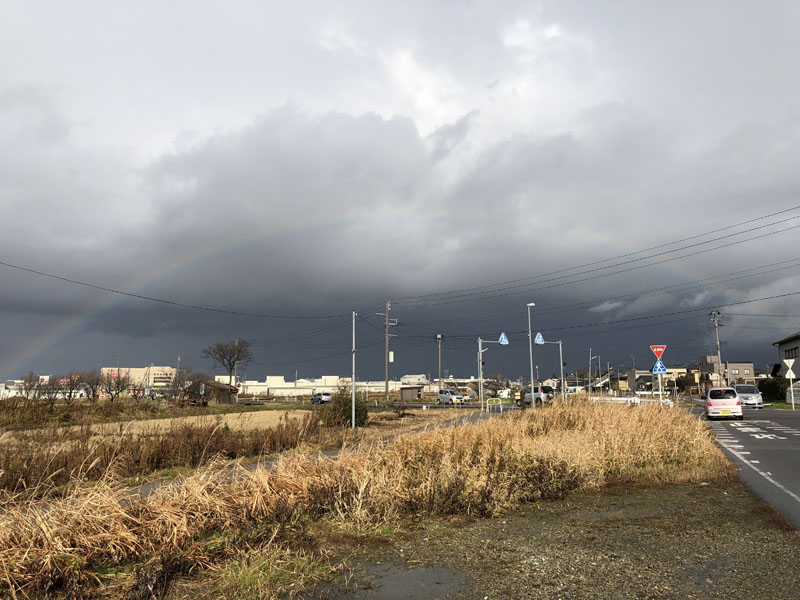 最近よく見るな～